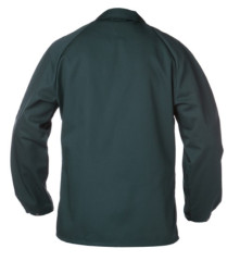 Halle groen achter.jpg