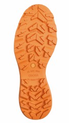 hires-zool-extralarge (21).jpg