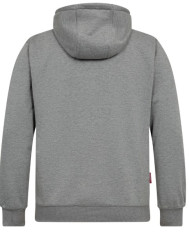 8019 grijs achter.jpg